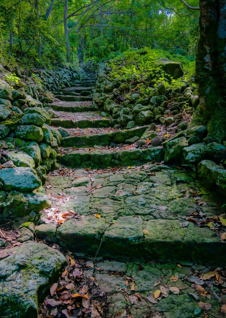 The Ladder Ascends Into The Bottom