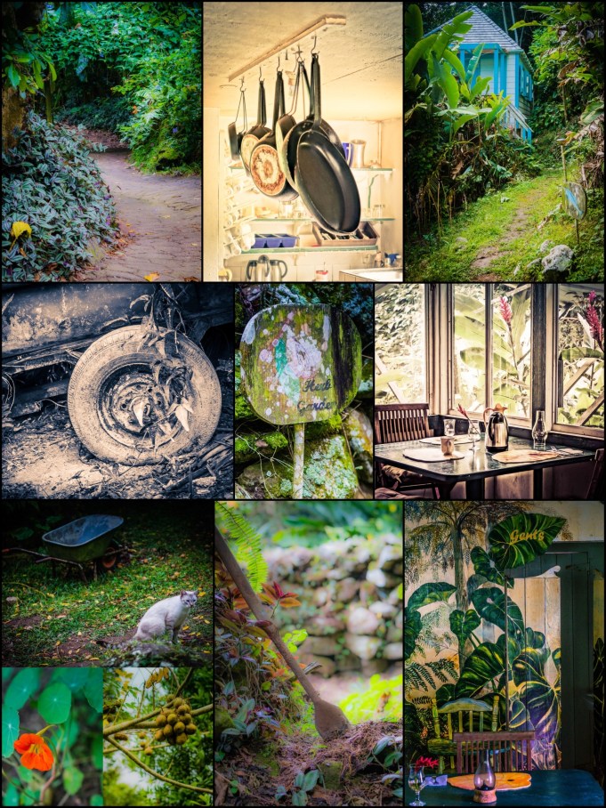 Ecolodge Collage