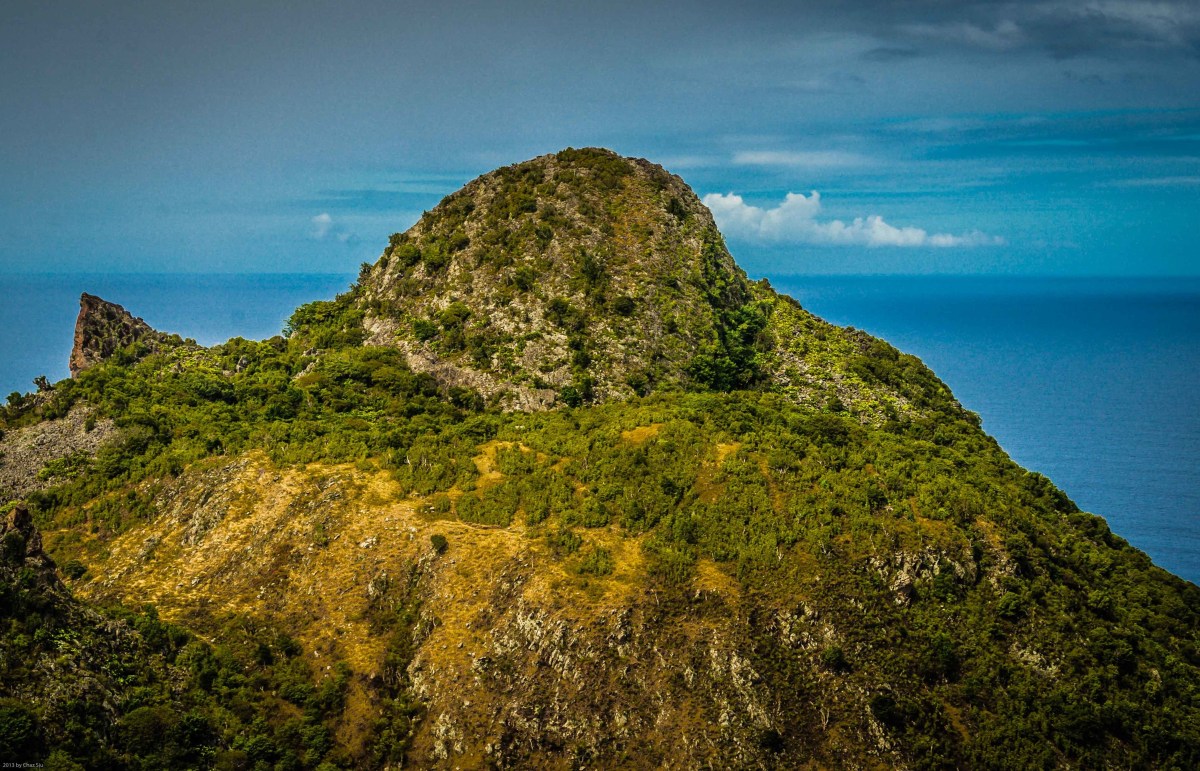 Whale On Paris Hill, Saba, Dutch Caribbean