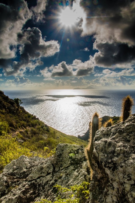 Spring Bay Trail Sunrise