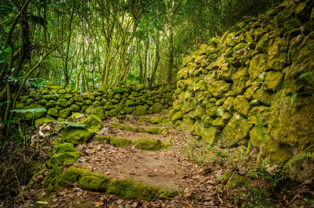 The Path To Mt Scenery, Saba, Dutch Caribbean