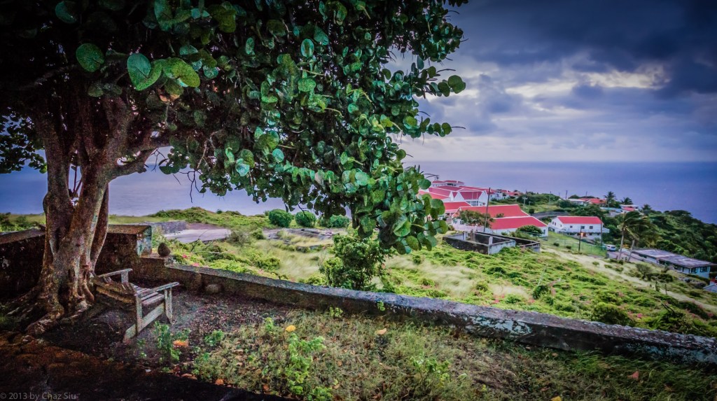 Vinyard Cottage And The Sea Grape Tree