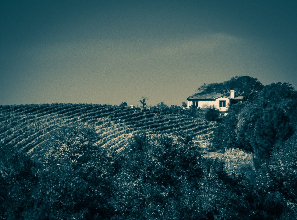 Medlock and Ames Vistas