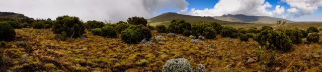 Pano: Ascent From Shira Plateau to Shira Cathedral