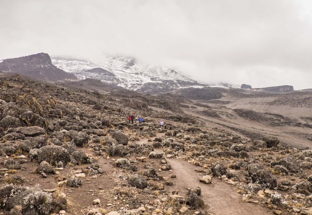 Acclimatization Hike To Just Below Lava Tower -14,100 Feet