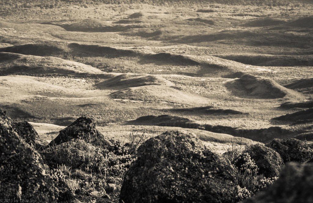 BW Kenyan Plains From Buffalo Camp