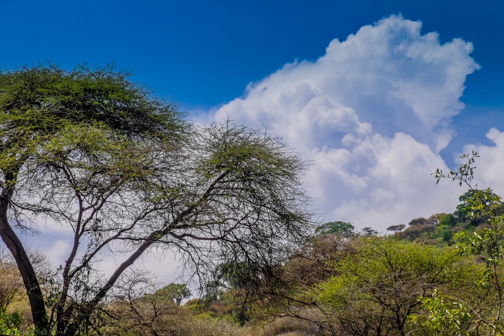 Clouds Above Lake Manyara Cliffs