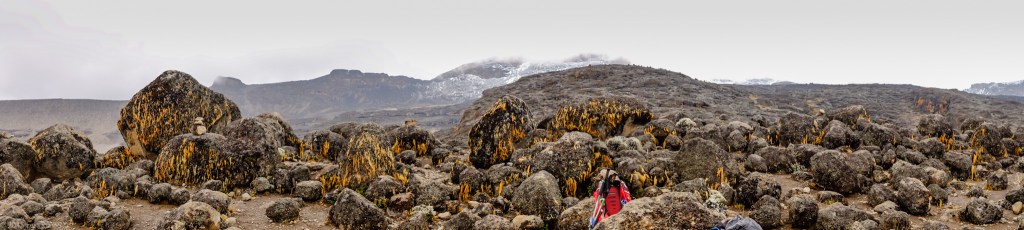 CLICK TO EXPAND: Field of Volcanic Rocks On The Way to Moir Hut