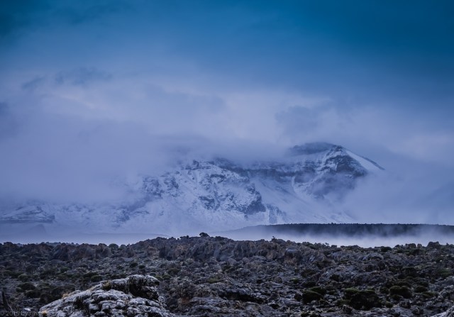 The Next Morning, Kilimanjaro Covered In Snow, Everest Style