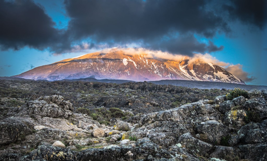 Kilimanjaro Sunset At Shira Hut