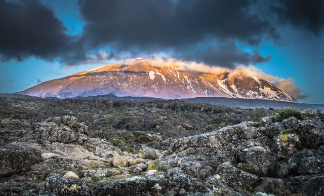 Kilimanjaro Sunset At Shira Hut