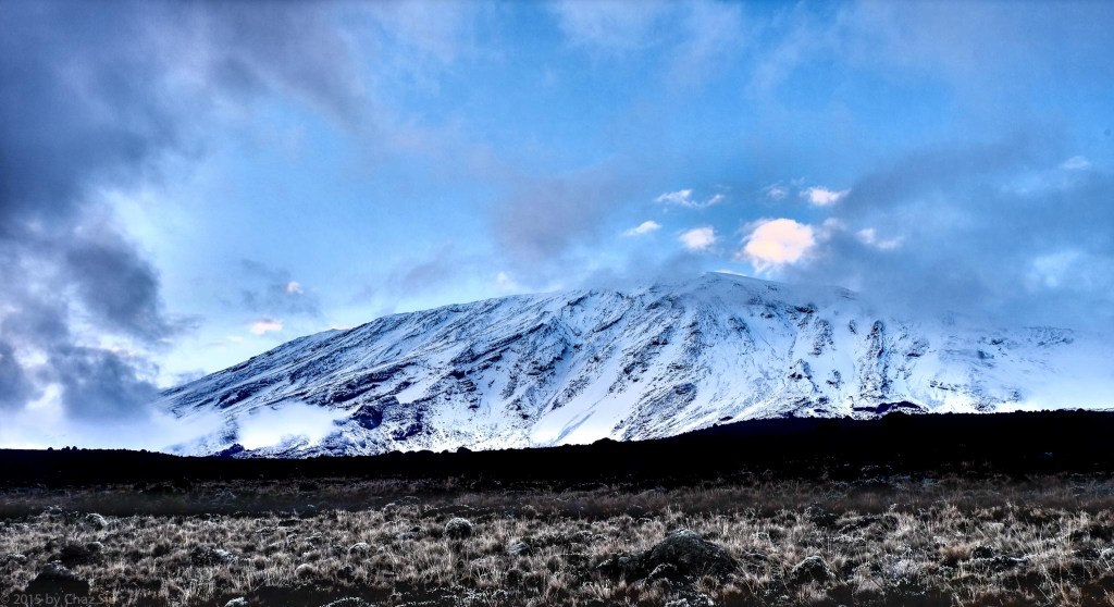 Kilimanjaro - Buffalo Camp