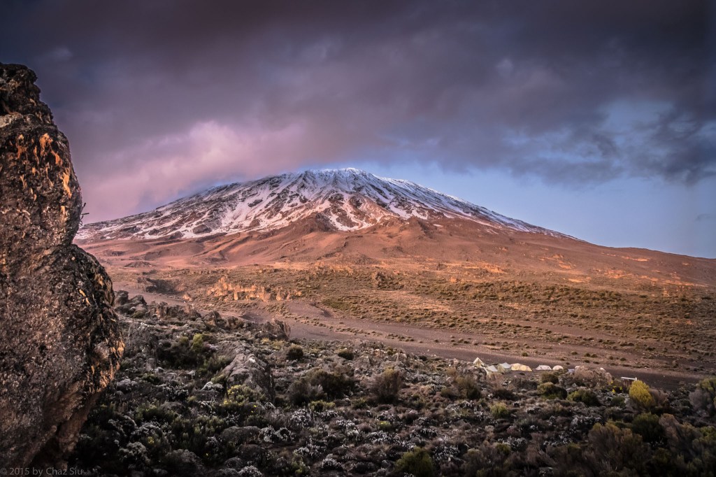 Kilimanjaro Dwarfs Tiny Third Cave Camp