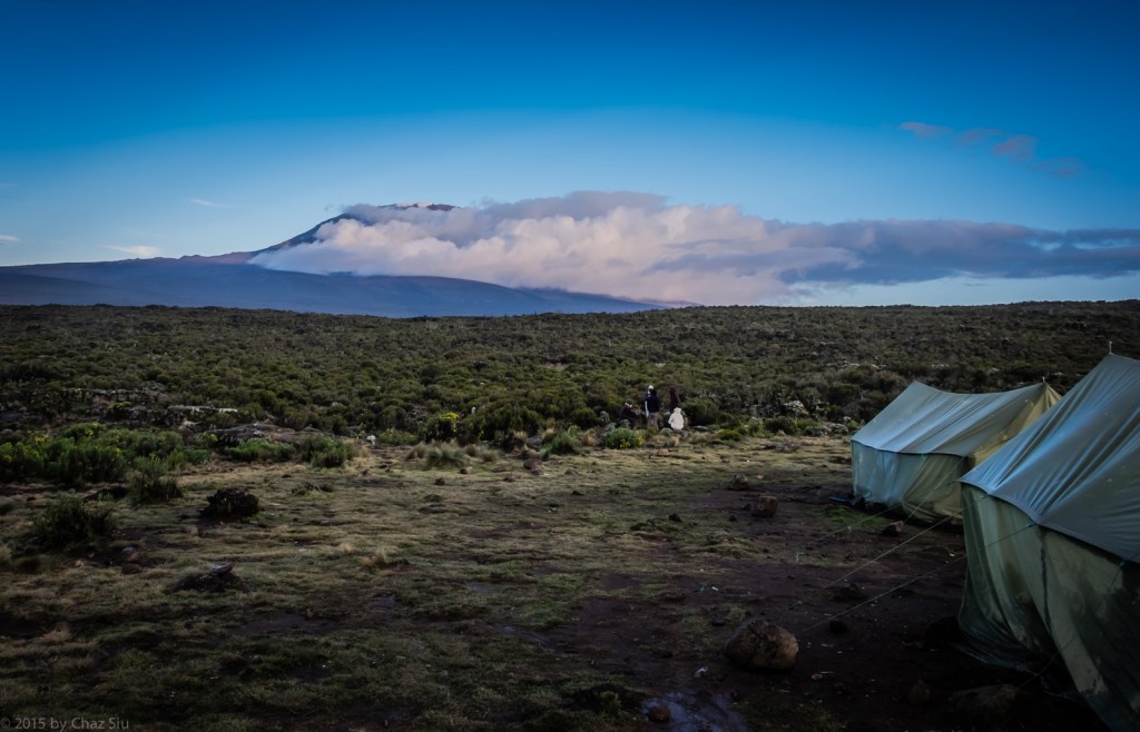 Kilimanjaro, From Shira One Camp