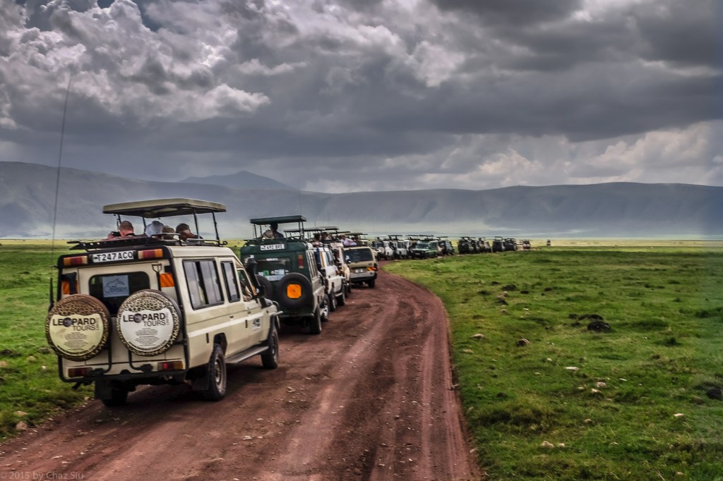 Landcruiser Migration For Black Rhino Sighting