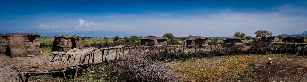 Maasai Village With Cattle Pen Fence Made of Brambles
