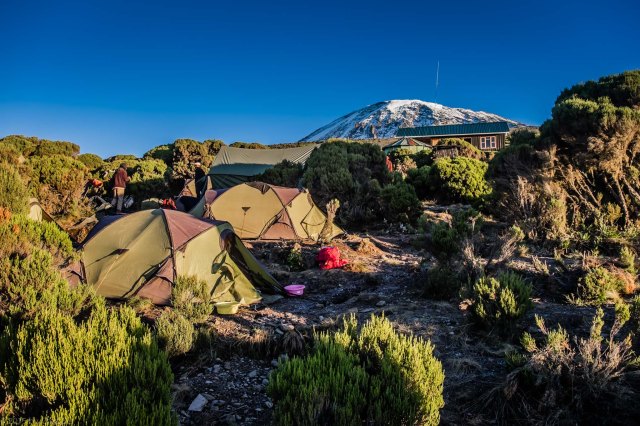 Millenium Camp Nestled Below Kili - Elevation 12,590 ft