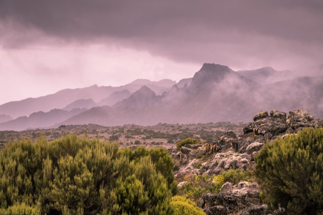 Almost To Shira Hut, Looking Back At Shira Cathedral. 