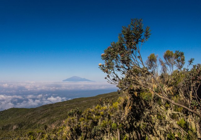 Mt Meru On Descent From Millenium Camp