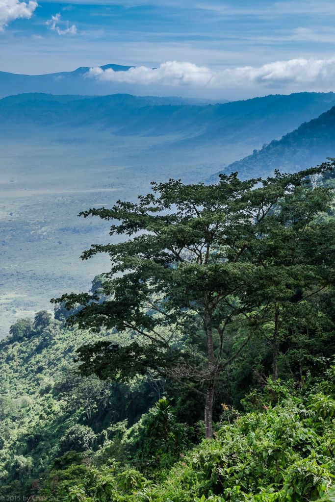 Ngorongoro Crater Portrait