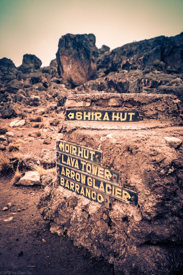 Nowhere to Go But Up