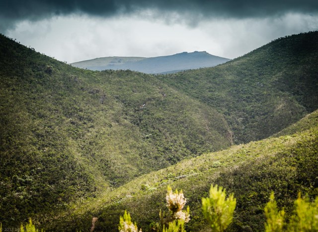 Porters Across The Gully Going Up To Shira One Ridge