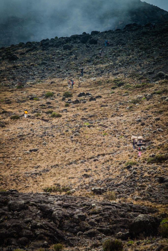 Porters Head Up To Lava Tower Junction From Moir Hut