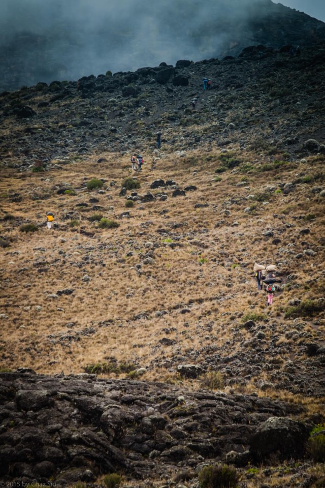 Porters Head Up To Lava Tower Junction From Moir Hut