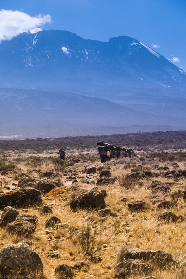 Our Porters March To Shira Hut With Kilimanjaro Chewing Up The Horizon