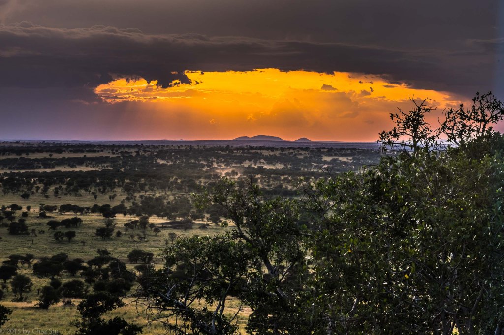 Serengeti Sunset From Lobo Lodge