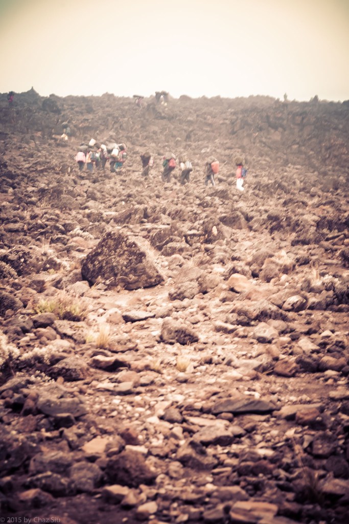 Porters Climb The Switchbacks Out Of Moir Hut To Buffalo Camp