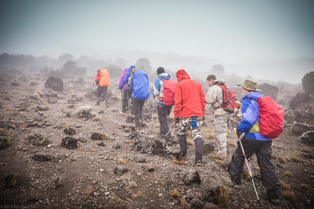 Up And Away Into The Mist To Moir Hut Camp