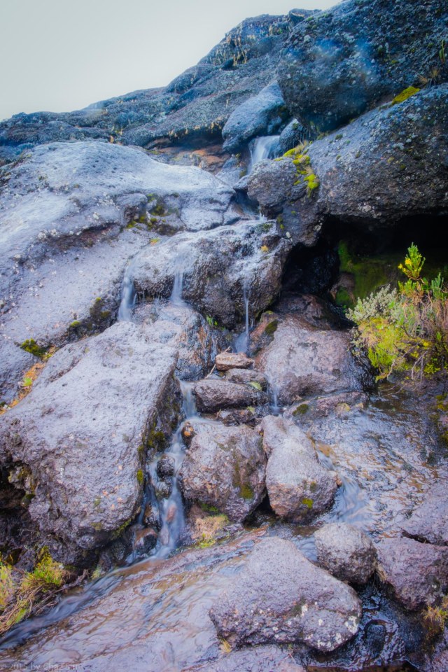 Water Falls Near Moir Hut